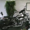Harley Davidson 024